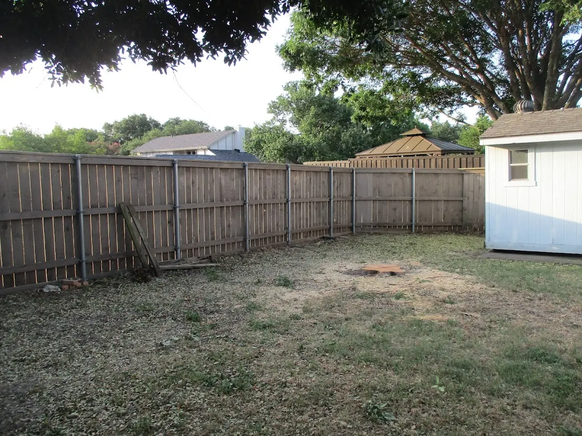 Cleared yard after professional tree removal in Sadorus